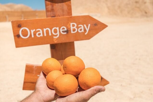 Orange Bay Island Snorkeling Trip