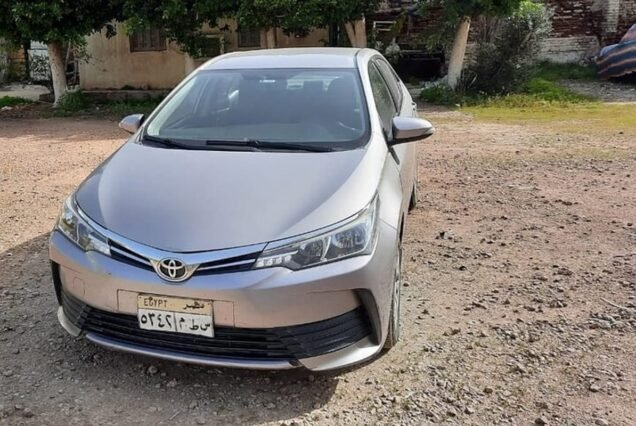 Private Transfer from Marsa Alam to Luxor