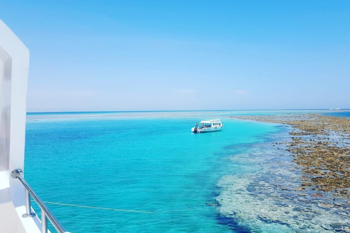 Red Sea Tours